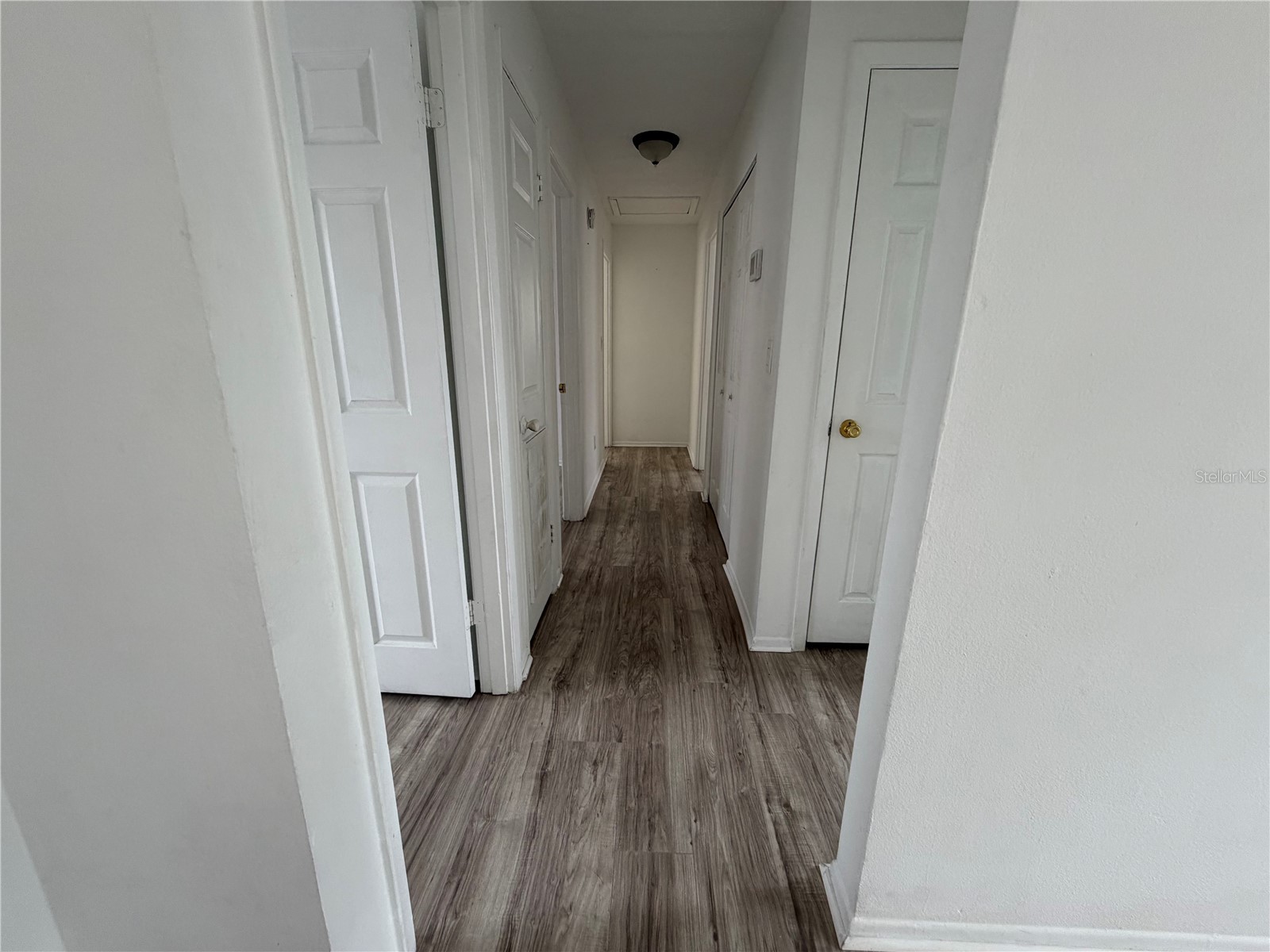 1767 Valencia Avenue Ormond Beach FL 32174 S5149144 image24