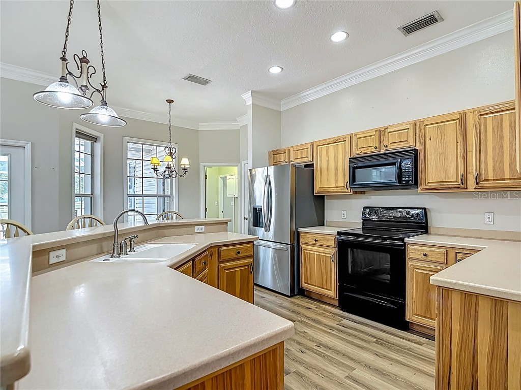 17670 SE 283rd Avenue Umatilla FL 32784 G5097779 image19