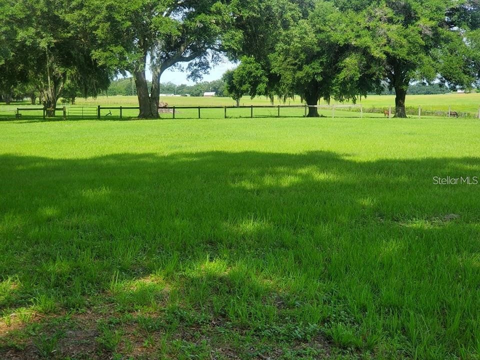 17670 SE 283rd Avenue Umatilla FL 32784 G5097779 image4