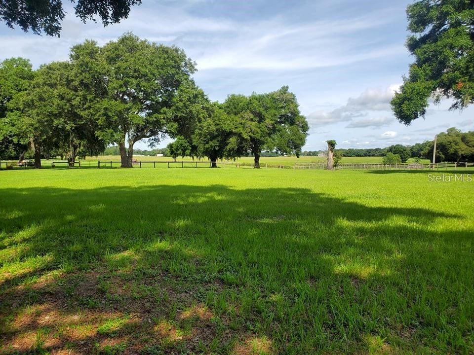 17670 SE 283rd Avenue Umatilla FL 32784 G5097779 image43