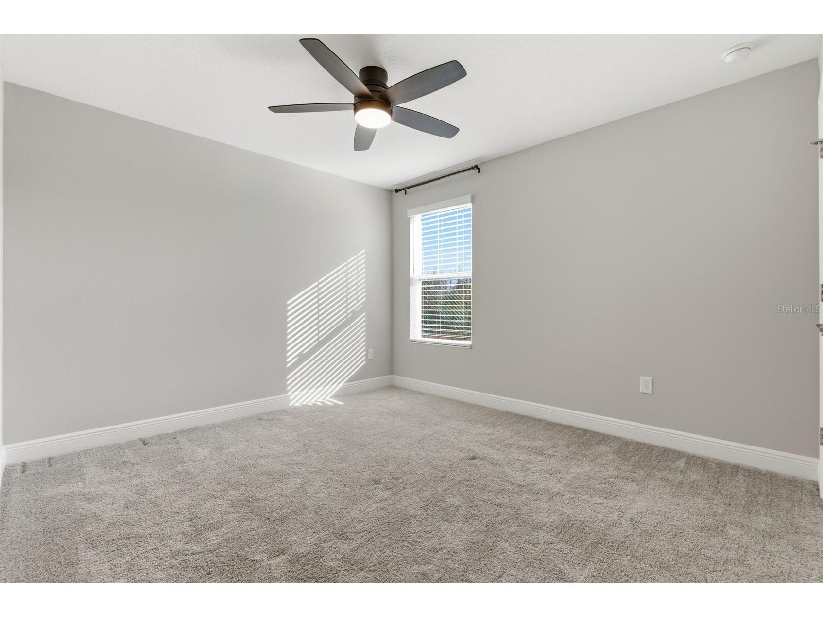 17674 Everlong Drive Land O Lakes FL 34638 TB8479118 image18