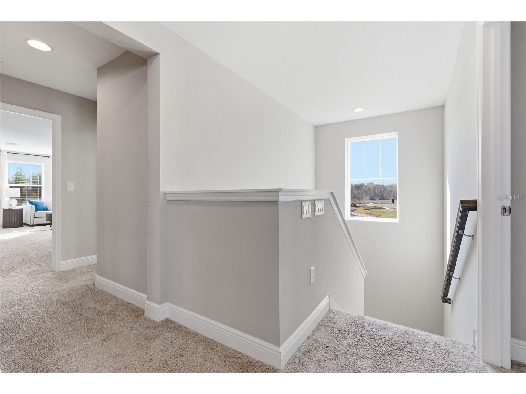 17674 Everlong Drive Land O Lakes FL 34638 TB8479118 image21