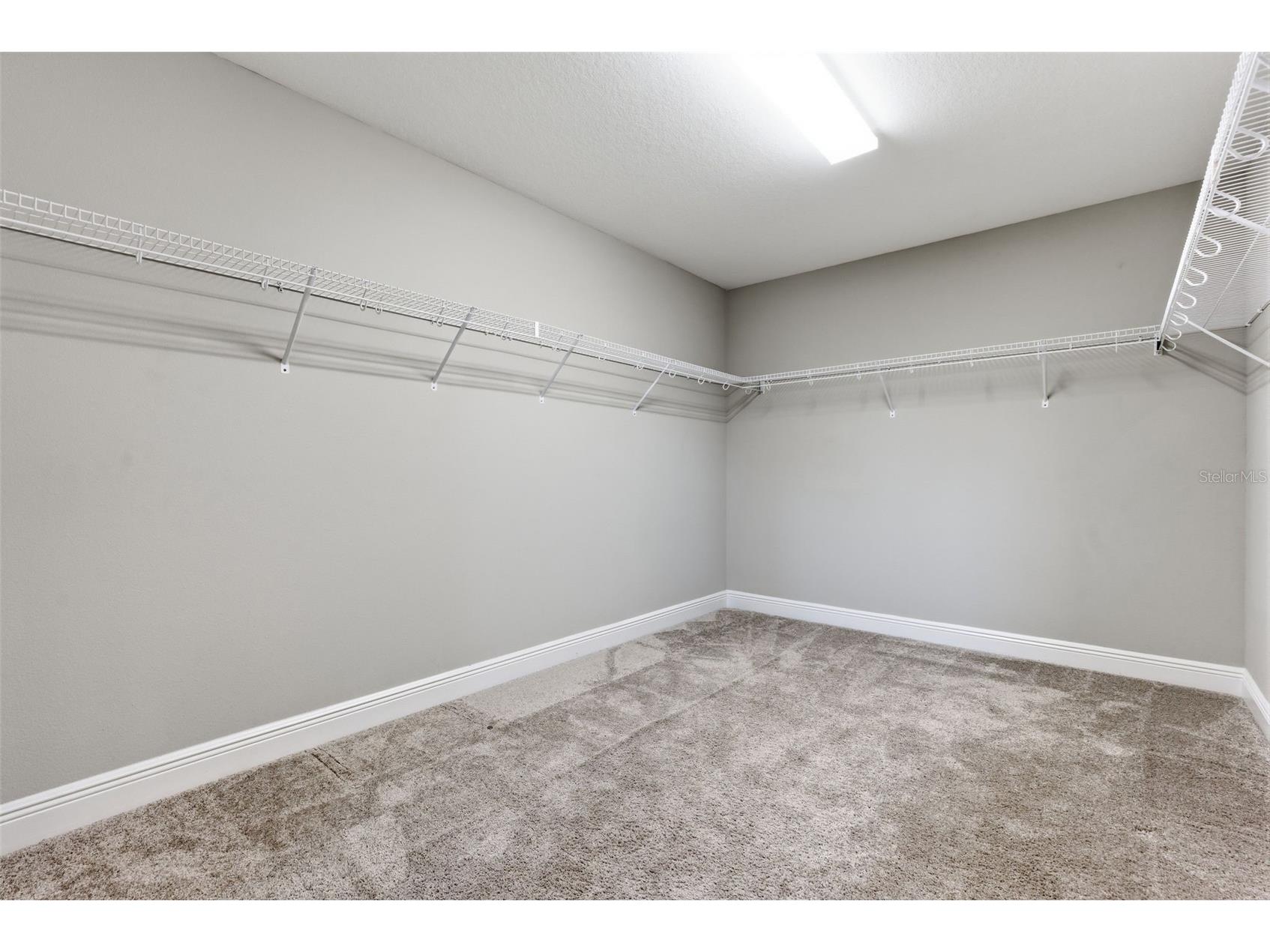 17674 Everlong Drive Land O Lakes FL 34638 TB8479118 image32