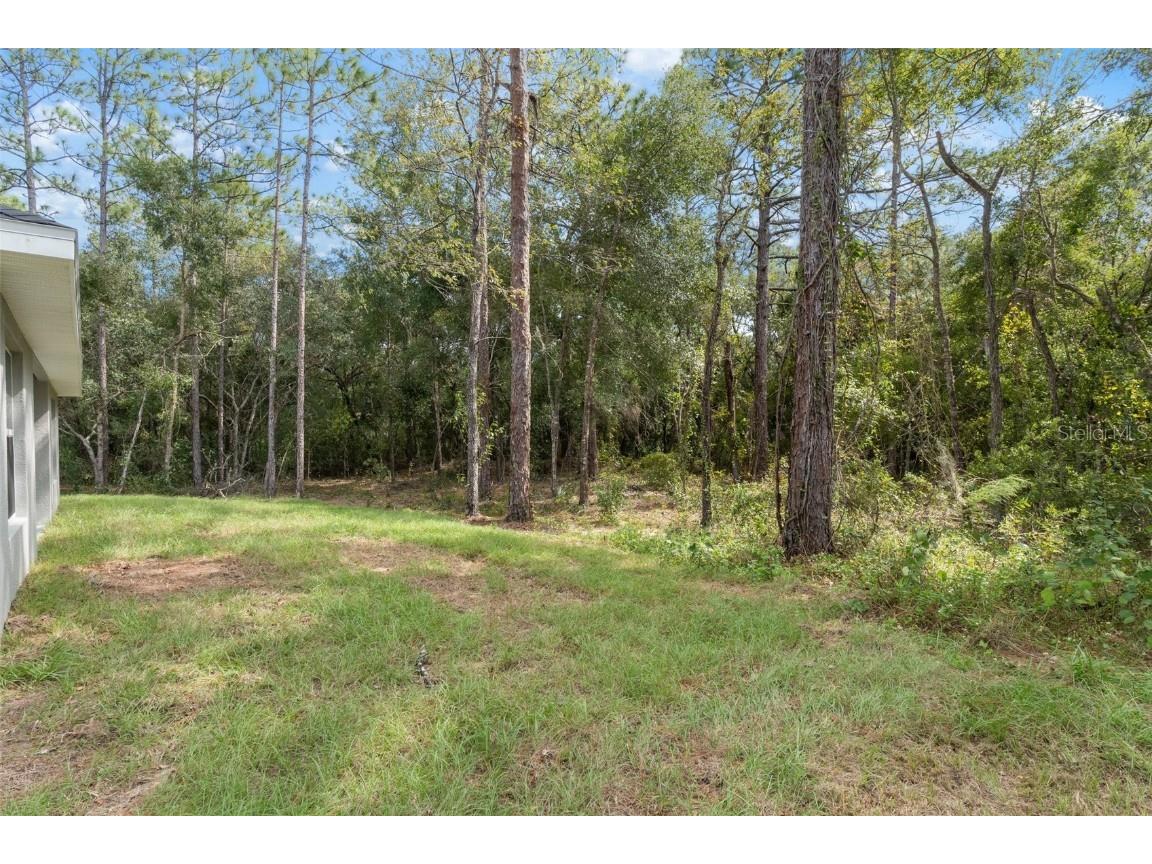 1768 E Bismark Street Hernando FL 34442 O6347097 image44