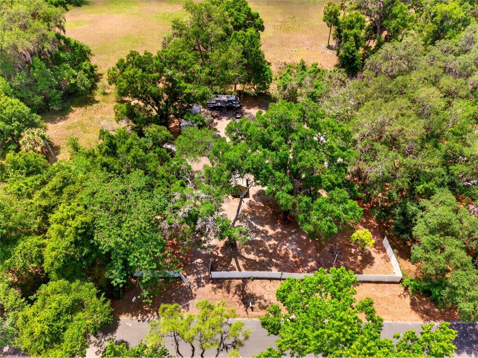 17684 NE 24th Avenue Citra FL 32113 OM724286 image11