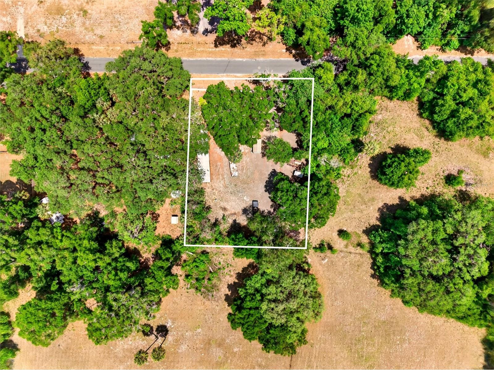 17684 NE 24th Avenue Citra FL 32113 OM724286 image15