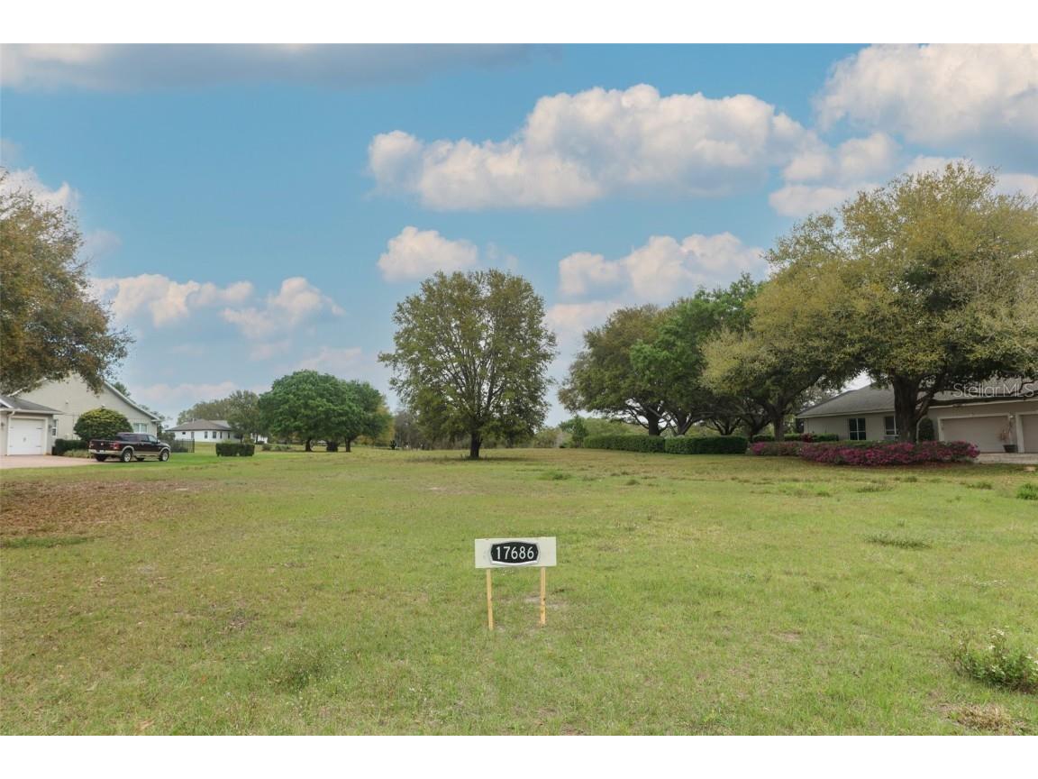 17686 Deer Isle Circle Winter Garden FL 34787 - PEACOCK POND O6184117 image1