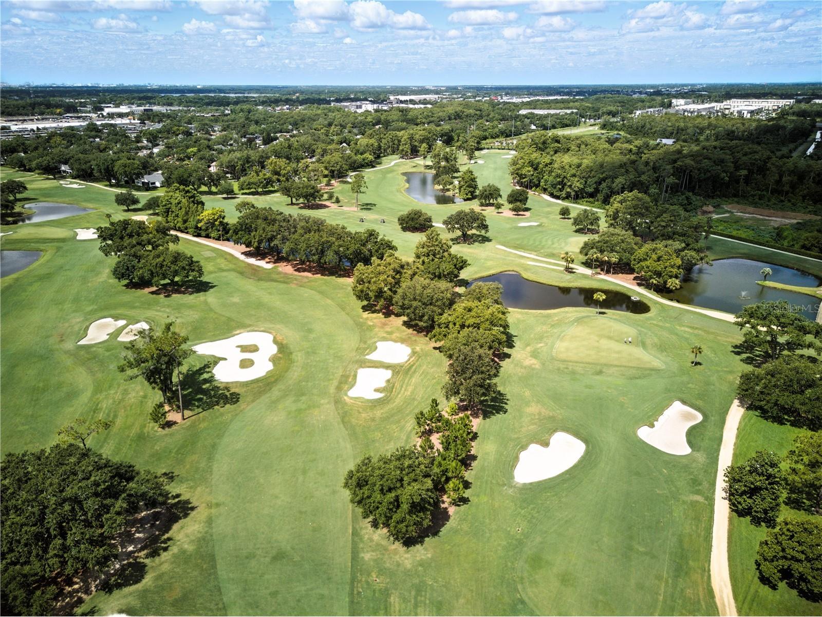 1769 Turnberry Terrace Orlando FL 32804 O6373755 image49