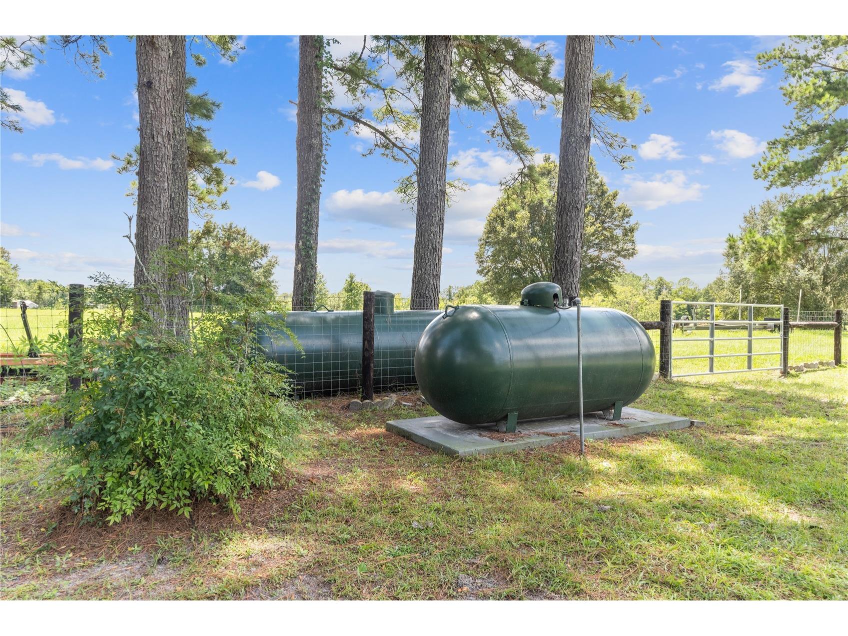 17690 NE State Road 121 Williston FL 32696 OM707474 image43