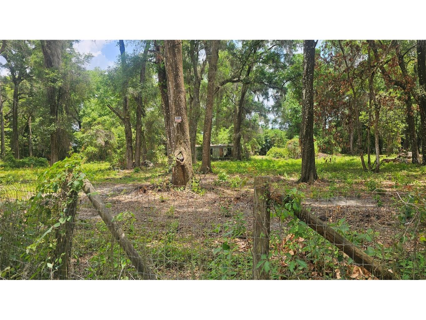 17693 SE 30th Avenue Summerfield FL 34491 O6335433 image1