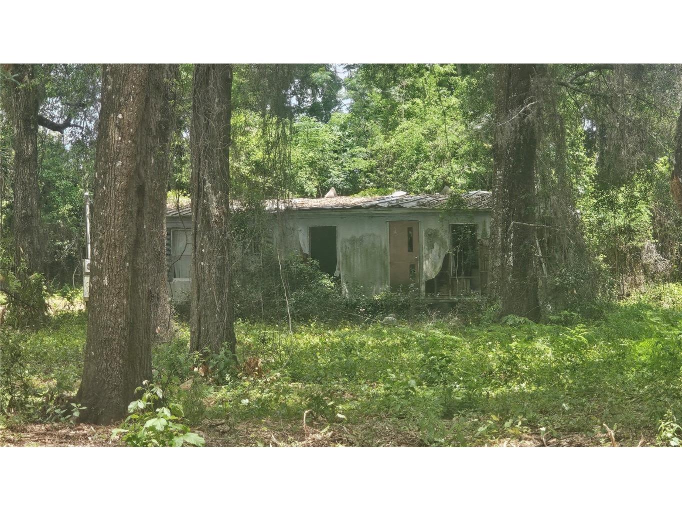 17693 SE 30th Avenue Summerfield FL 34491 O6335433 image2