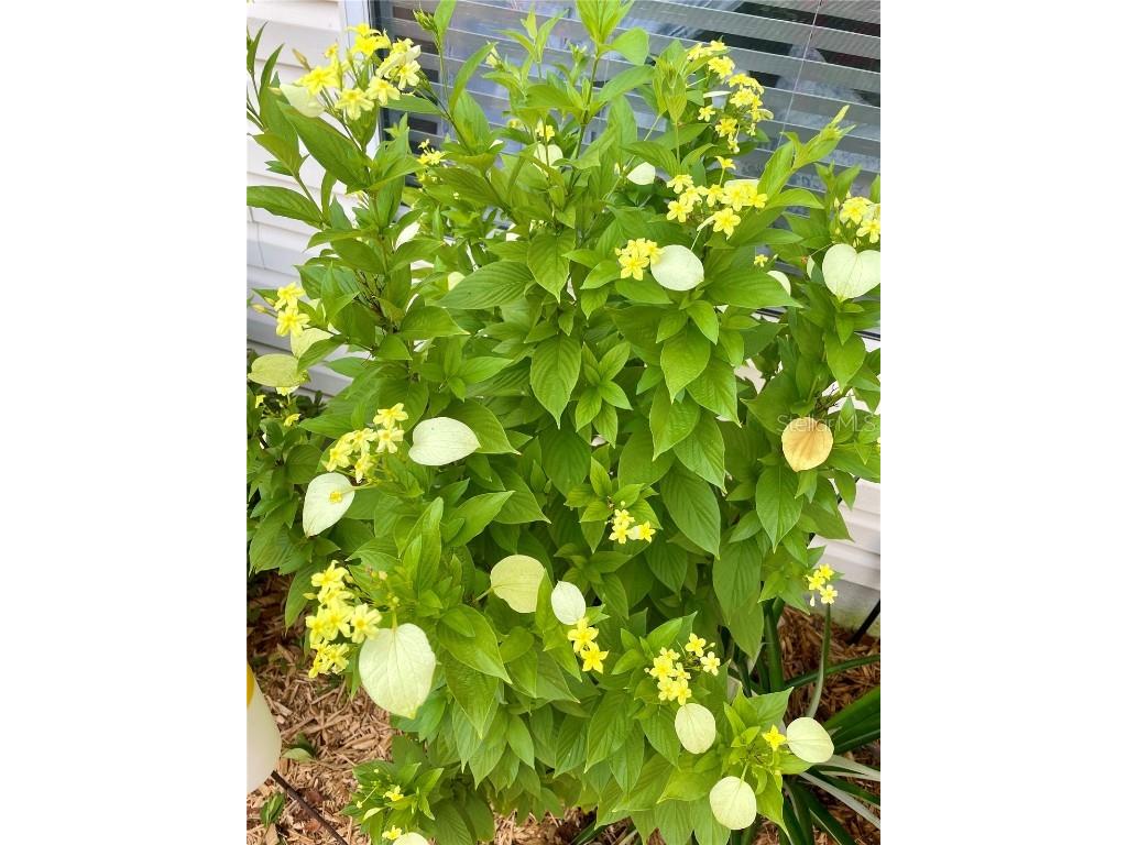 17694 Se 84th Peyton Court The Villages FL 32162 OM711564 image33