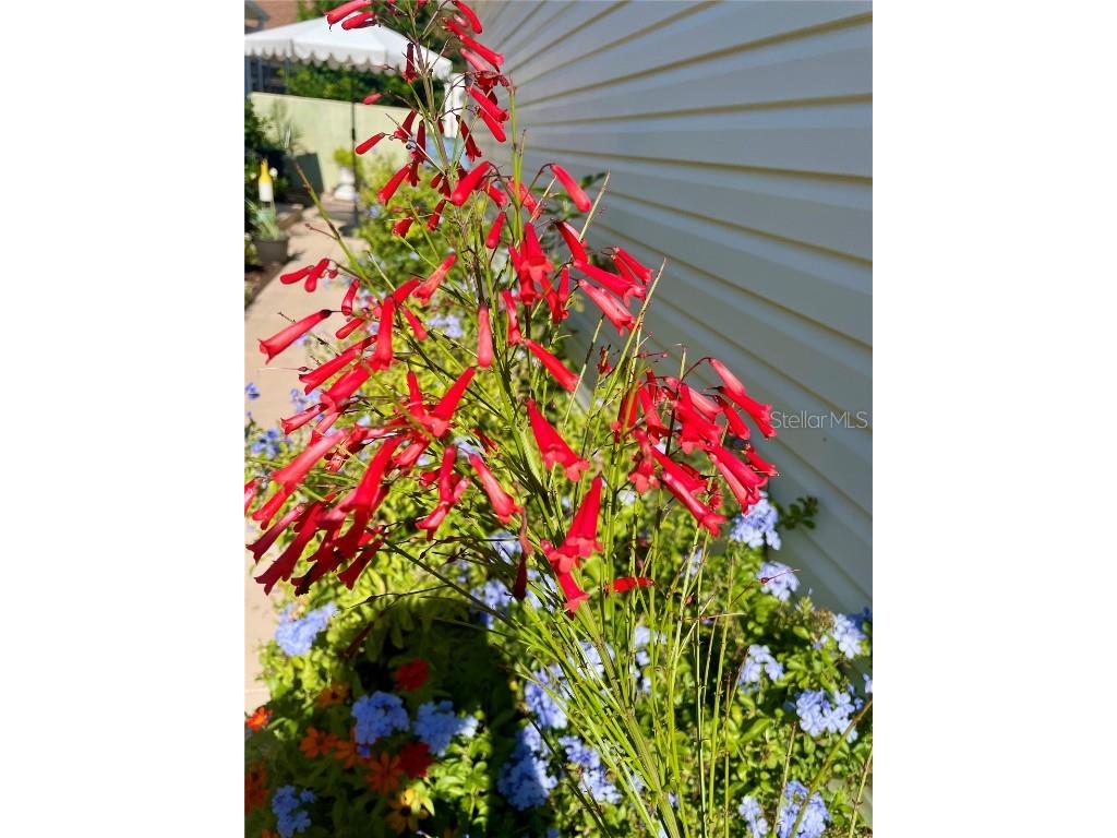 17694 Se 84th Peyton Court The Villages FL 32162 OM711564 image34