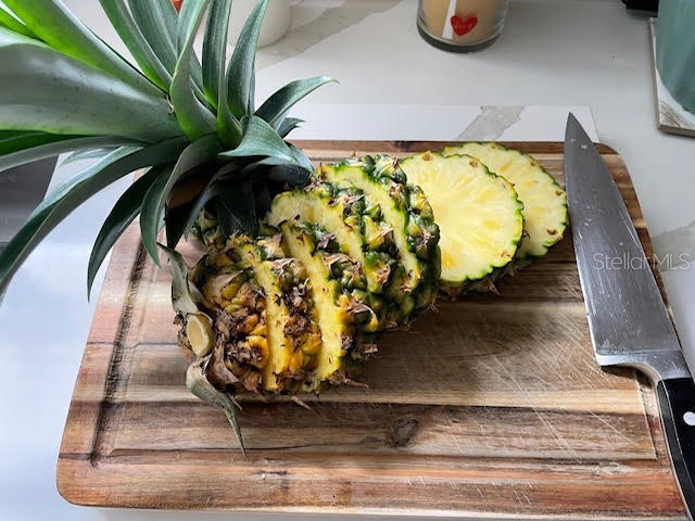 17694 Se 84th Peyton Court The Villages FL 32162 OM711564 image43