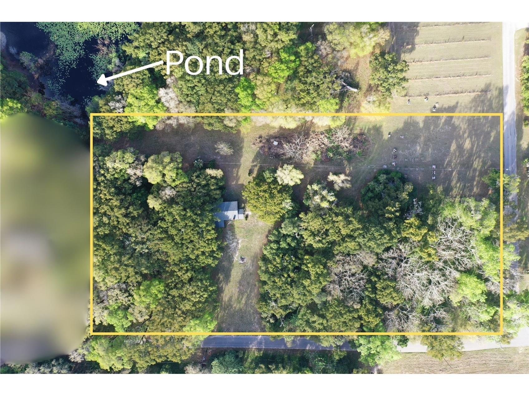 177 E 3rd Avenue Pierson FL 32180 V4947952 image2