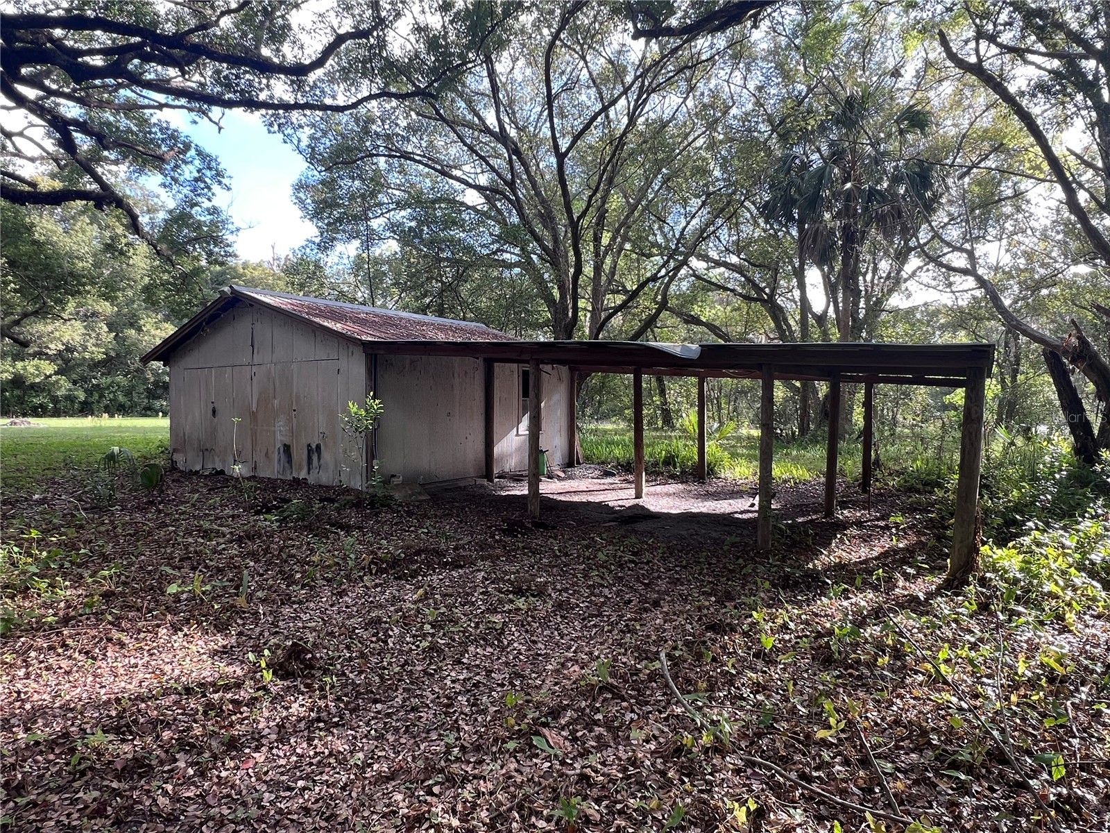 177 E 3rd Avenue Pierson FL 32180 V4947952 image6