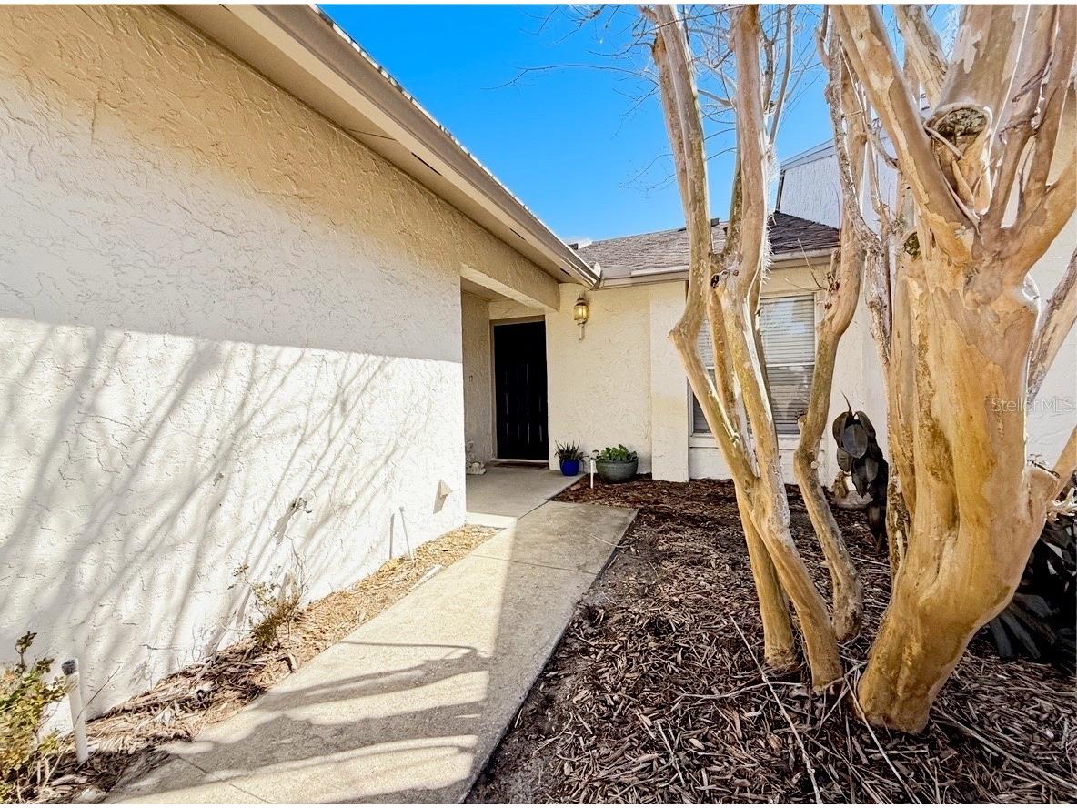 177 Hill Street Casselberry FL 32707 O6382311 image3