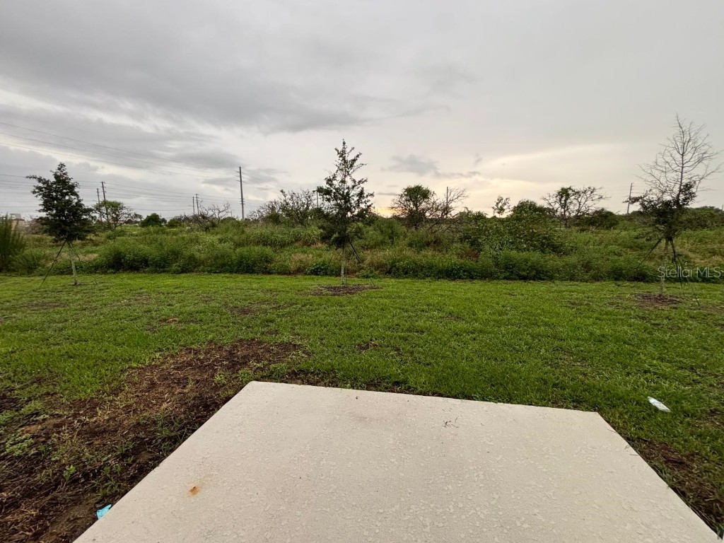 177 Mandovi Street Davenport FL 33837 S5138137 image28