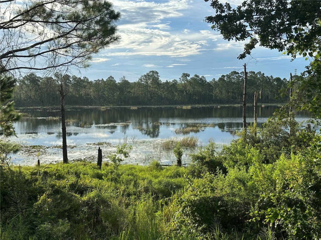 177 Rosedale Drive Deltona FL 32738 - LAKE BUTLER O6334160 image5