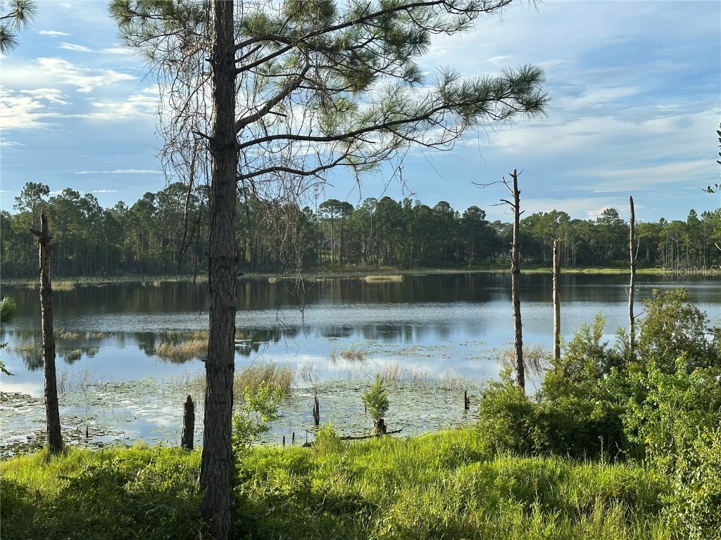 177 Rosedale Drive Deltona FL 32738 - LAKE BUTLER O6334160 image6