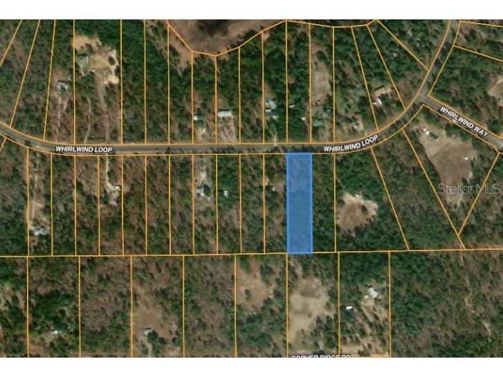 177 Whirlwind Loop Hawthorne FL 32640 O6168131 image1