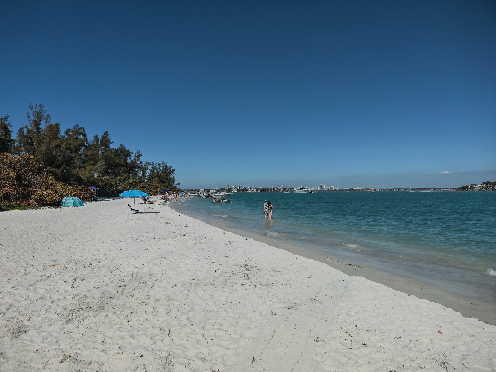 1770 Benjamin Franklin Drive #206 Sarasota FL 34236 - GULF OF MEXICO A4683120 image75