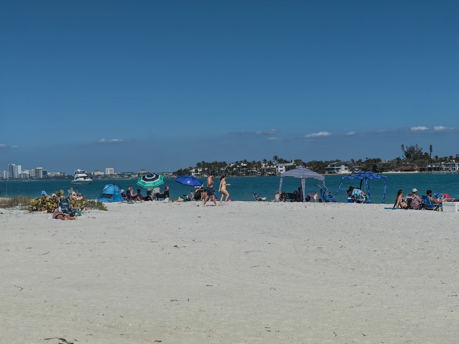 1770 Benjamin Franklin Drive #206 Sarasota FL 34236 - GULF OF MEXICO A4683120 image82