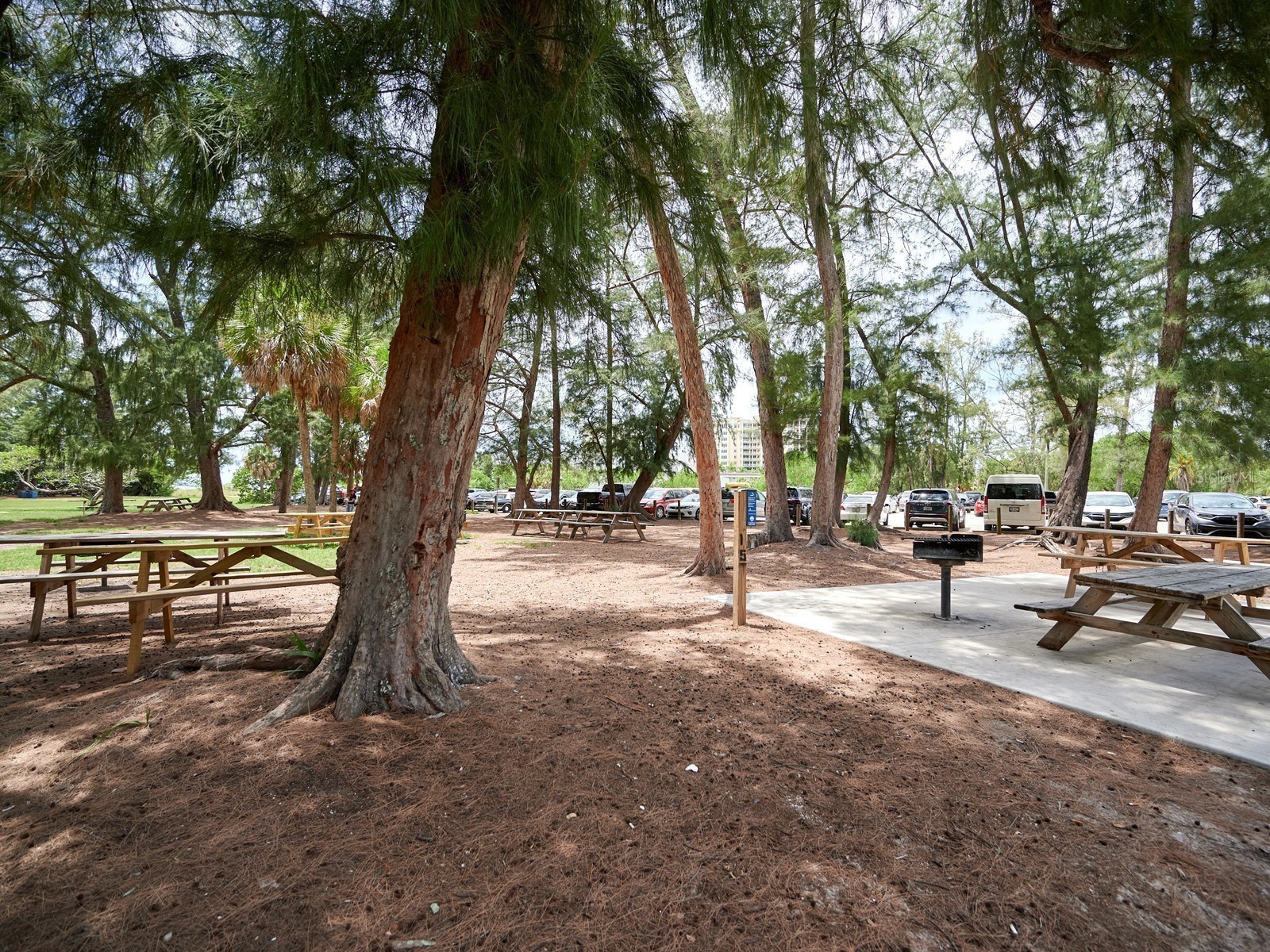 1770 Benjamin Franklin Drive #206 Sarasota FL 34236 - GULF OF MEXICO A4683120 image93