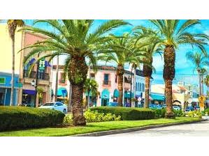 1770 Lake Place #1770D Venice FL 34293 A4672173 image46