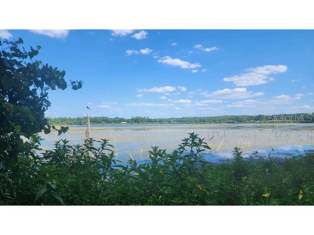 17700 Lake Iola Road Dade City FL 33523 - Moody U8250913 image2