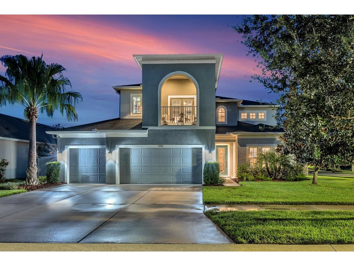 17701 Bright Wheat Drive Lithia FL 33547 TB8422802 image1
