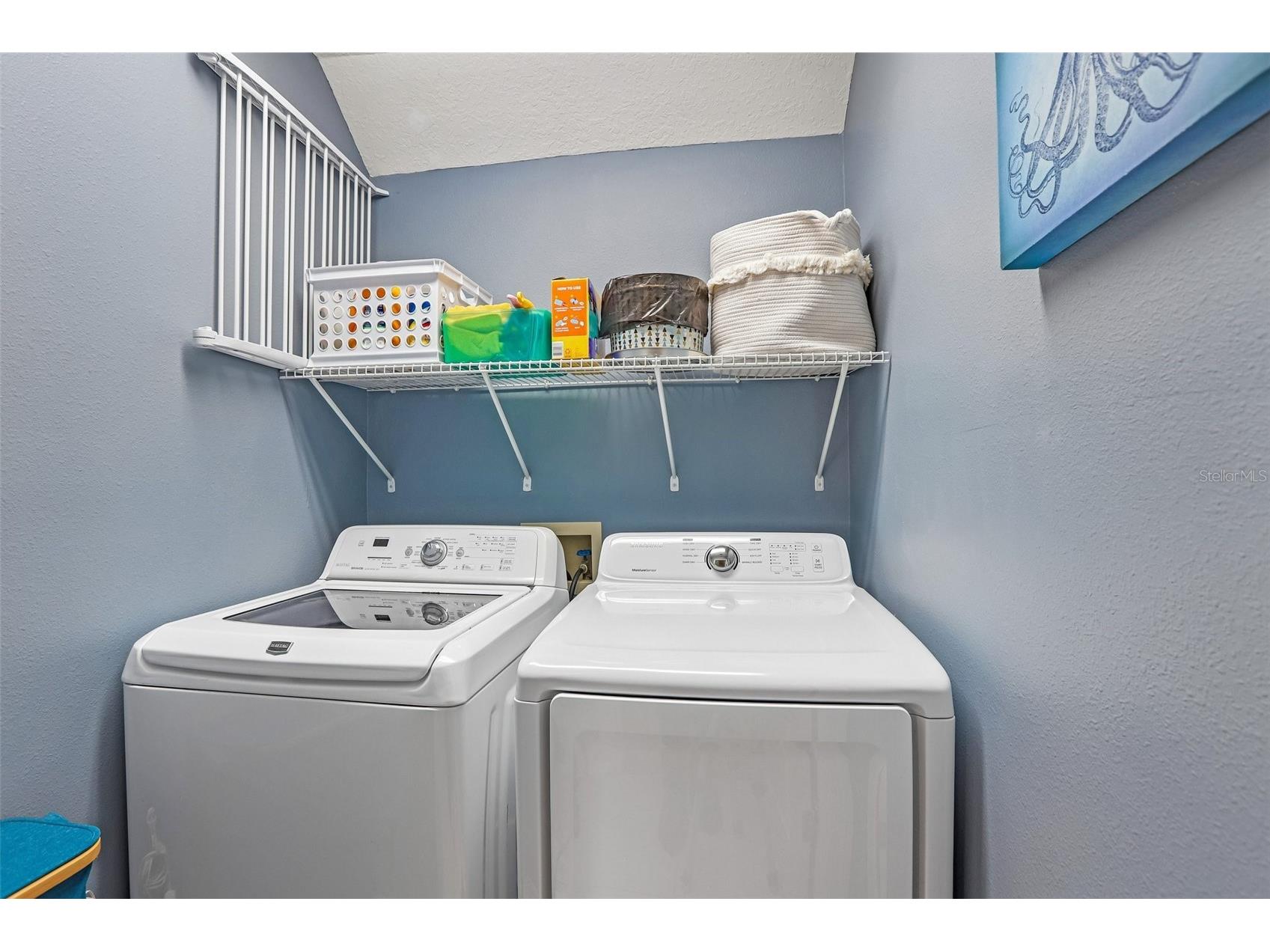 17702 Long Ridge Road Tampa FL 33647 TB8509719 image29