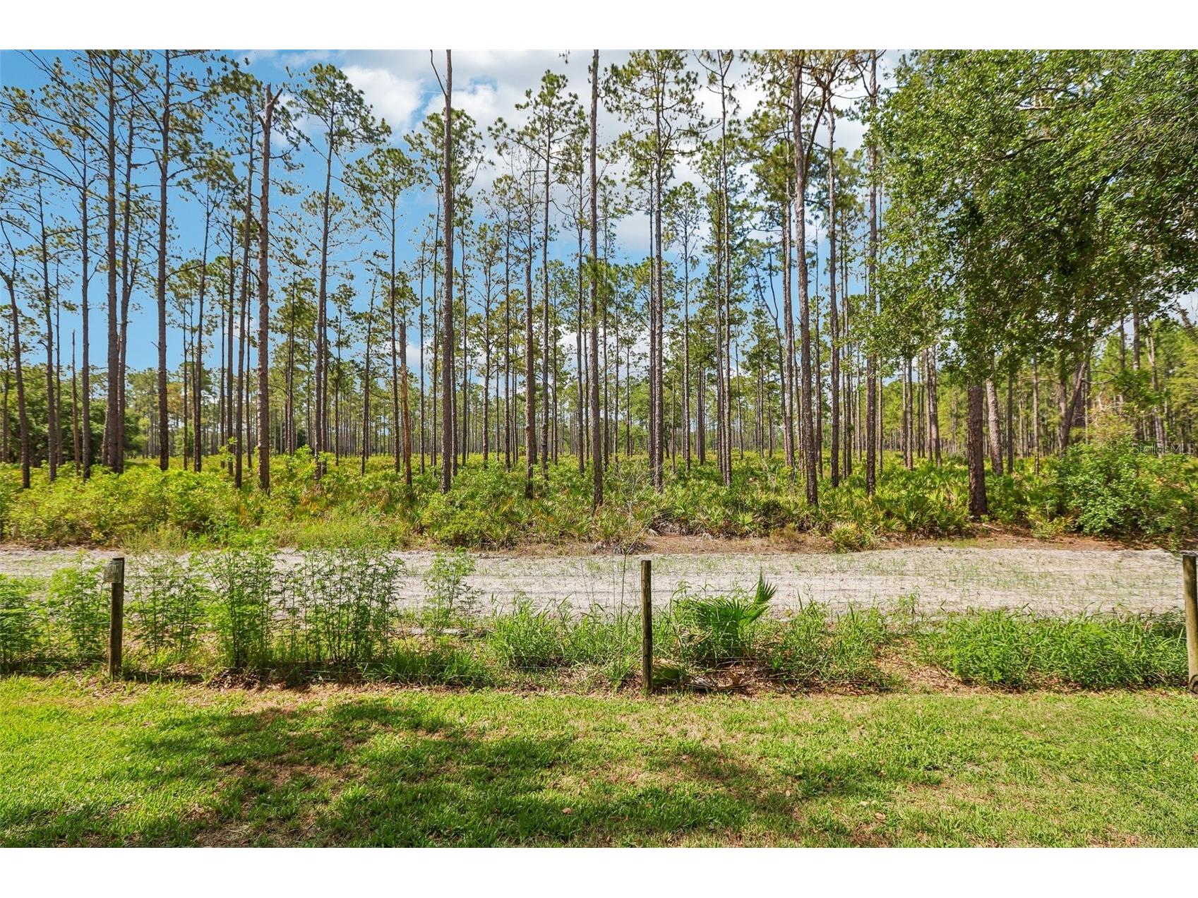 17702 Long Ridge Road Tampa FL 33647 TB8509719 image34
