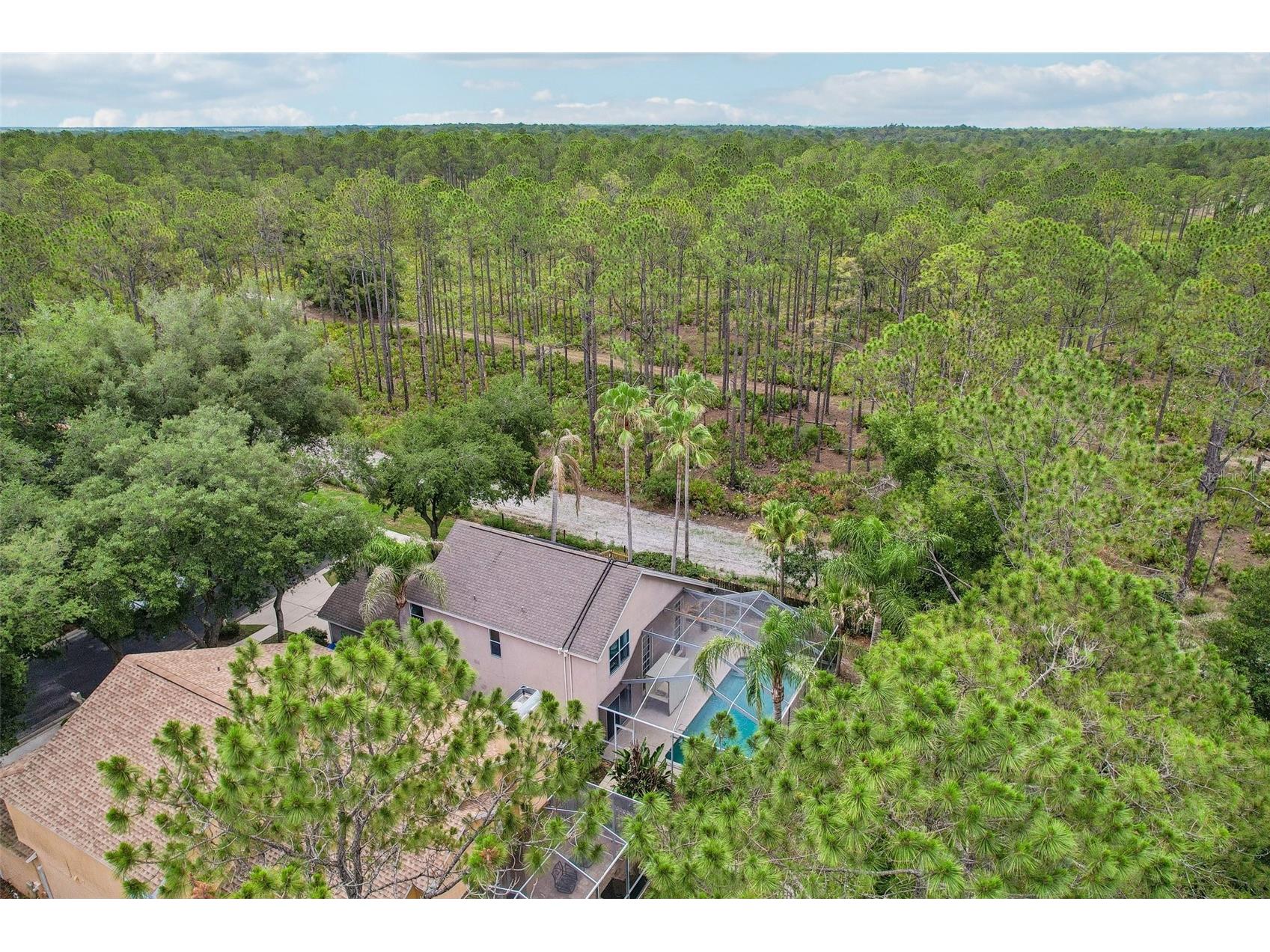17702 Long Ridge Road Tampa FL 33647 TB8509719 image36