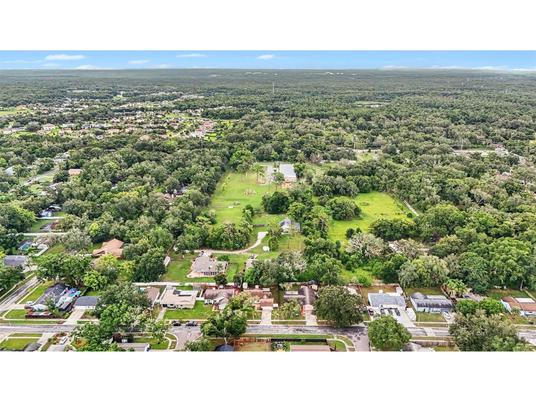 17703 Cranbrook Drive Lutz FL 33549 O6423386 image29