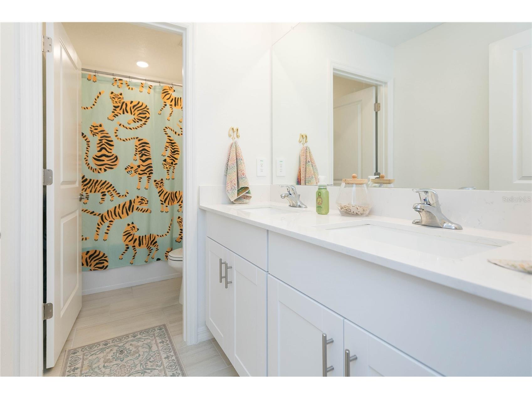 17703 Happytrails Street Land O Lakes FL 34638 TB8509468 image35