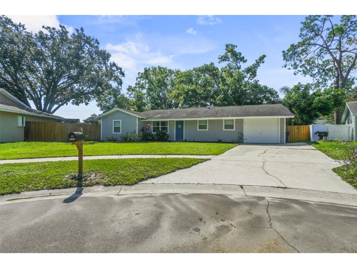 17703 Morninghigh Drive Lutz FL 33549 TB8422805 image1