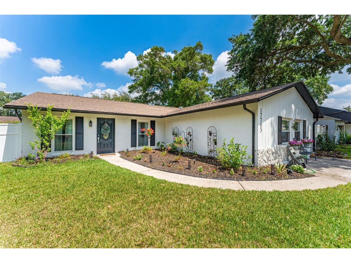 17703 Rivendel Road Lutz FL 33549 U8198164 image1