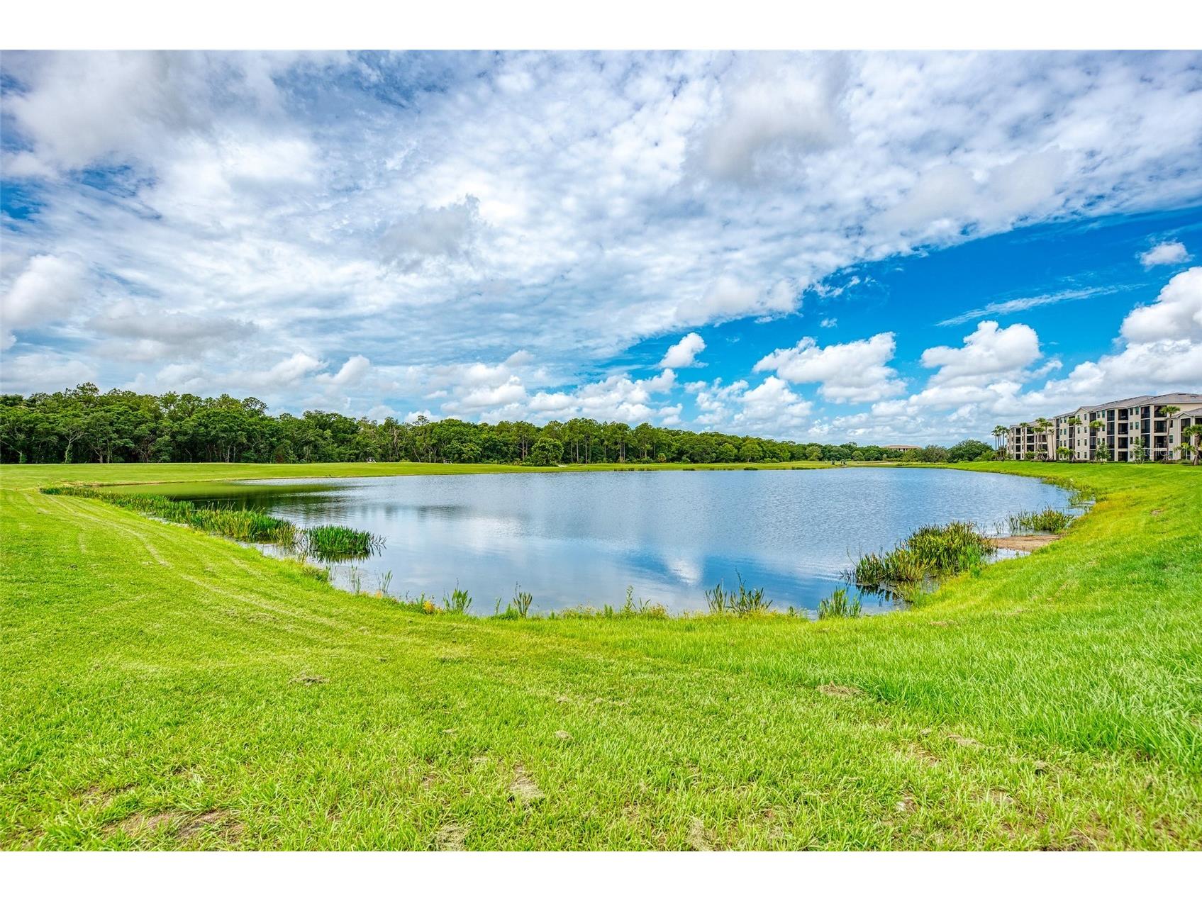 17704 Gawthrop Drive #207 Bradenton FL 34211 A4686625 image33
