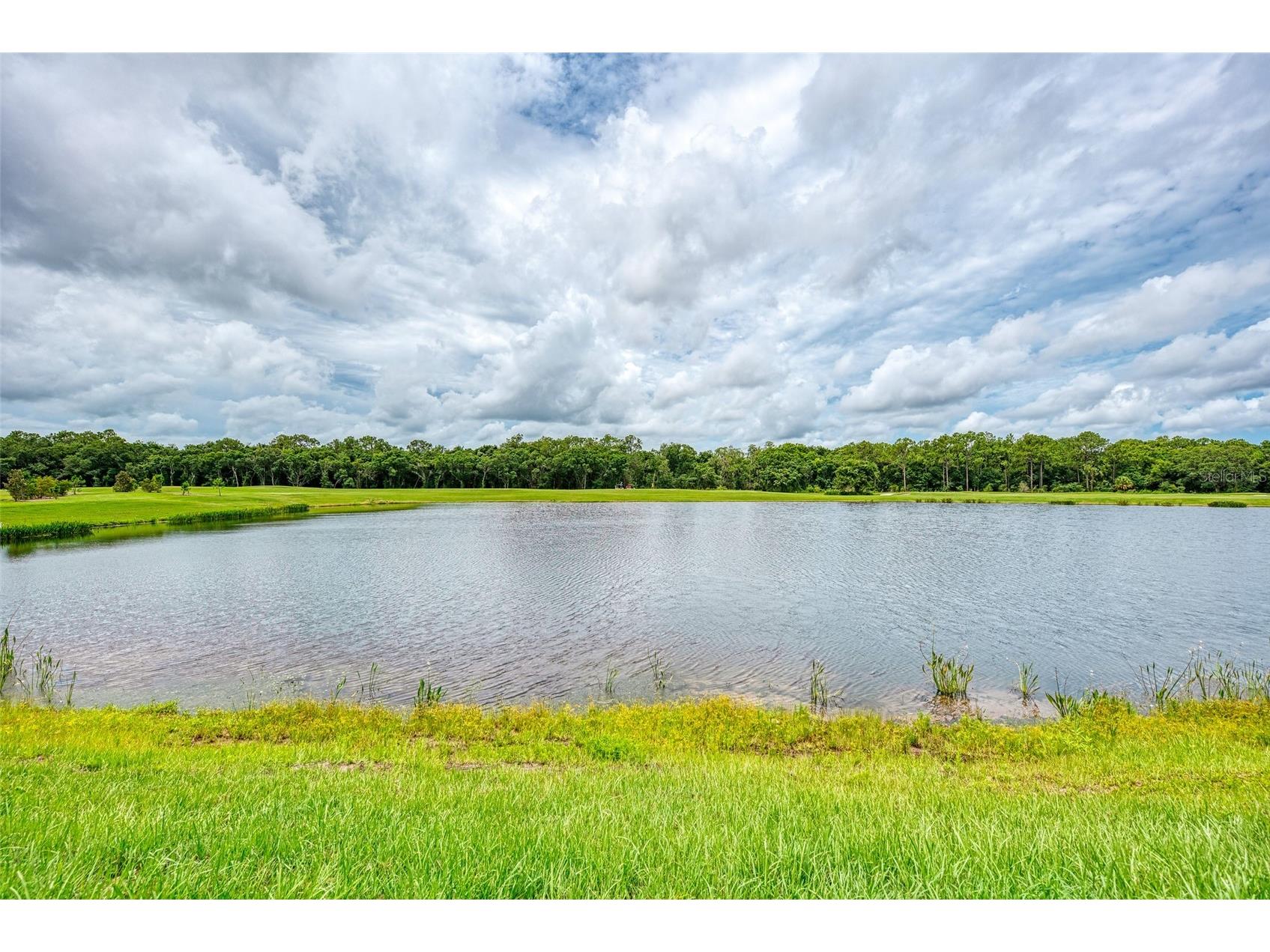 17704 Gawthrop Drive #207 Bradenton FL 34211 A4686625 image34