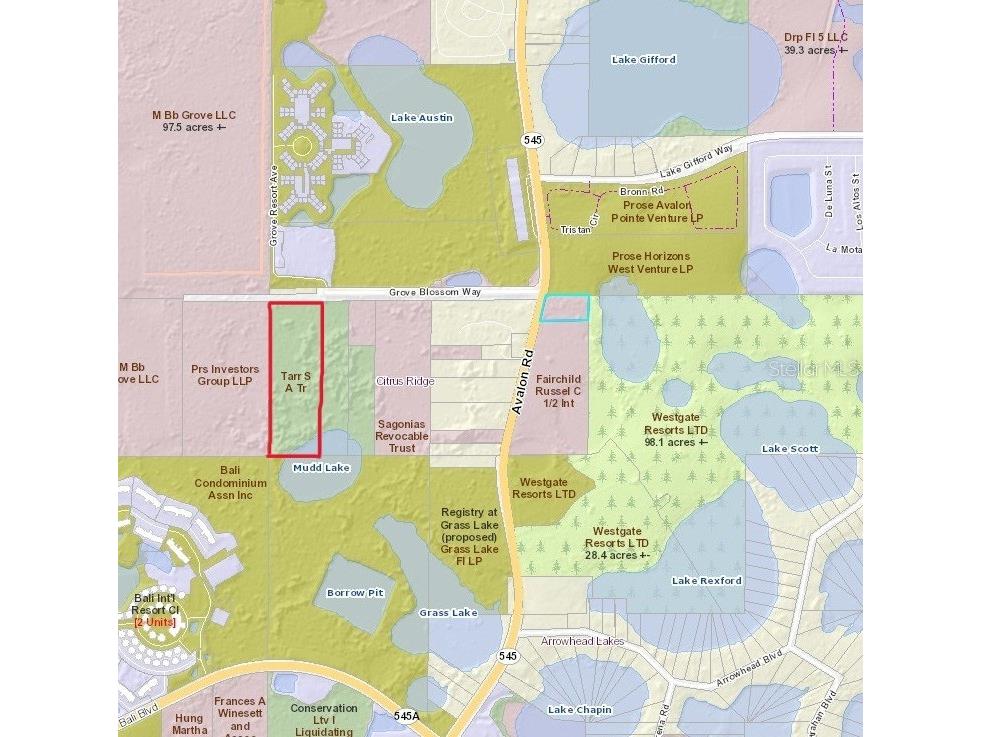 17704 Grove Blossom Way Winter Garden FL 34787 - MUDD LAKE O6031658 image1