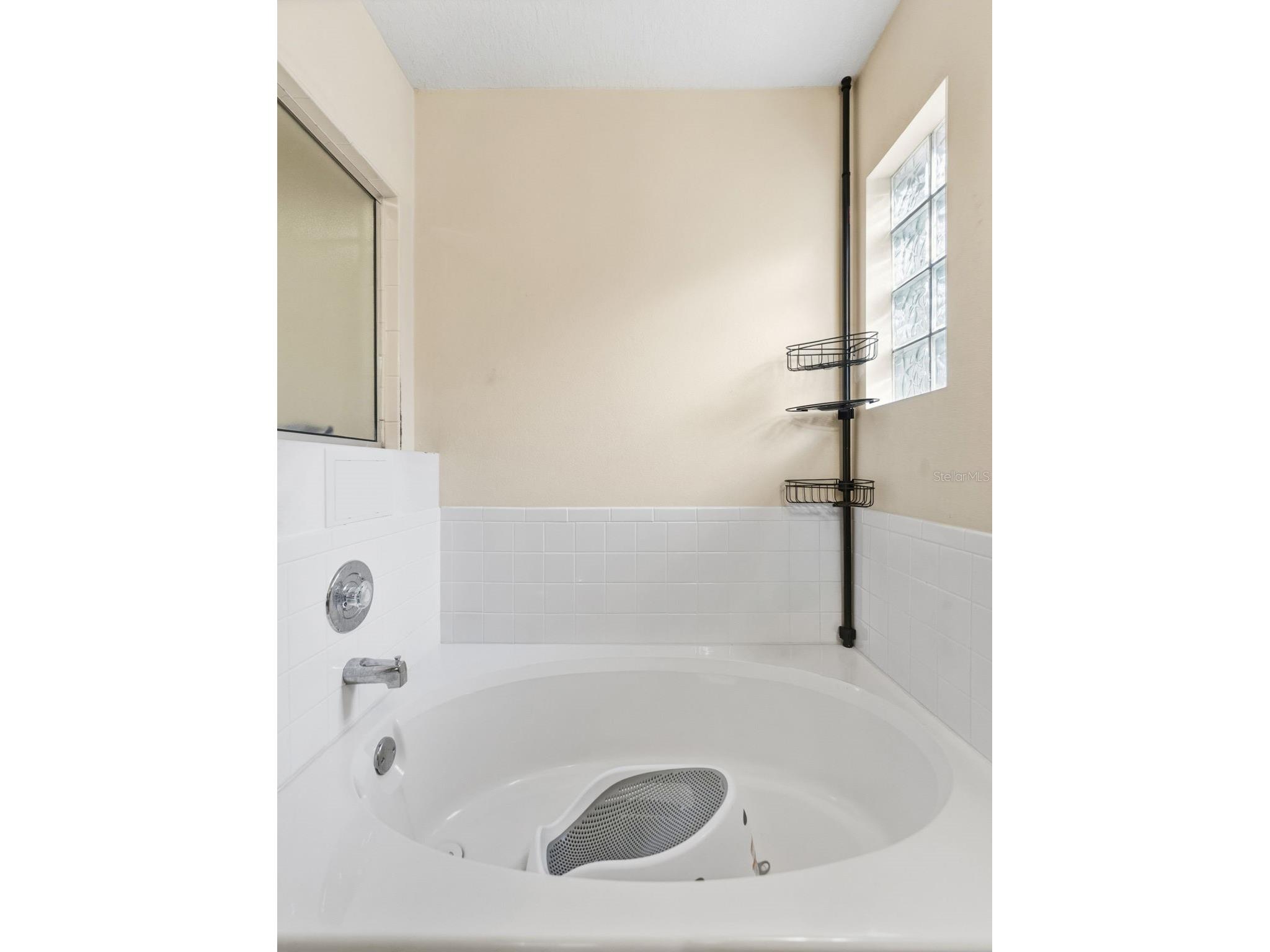 17704 Nathans Drive Tampa FL 33647 TB8460446 image18