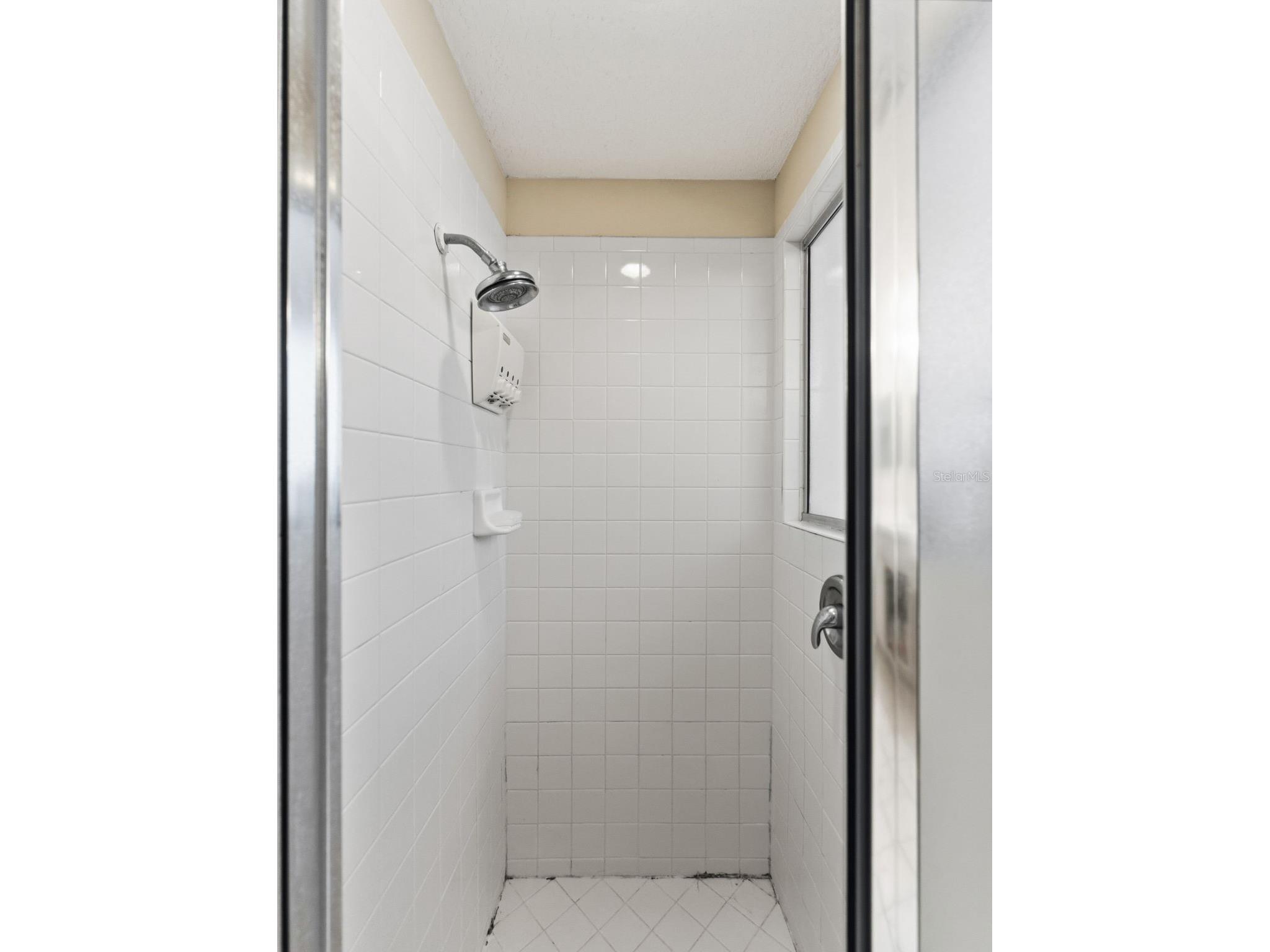17704 Nathans Drive Tampa FL 33647 TB8460446 image19