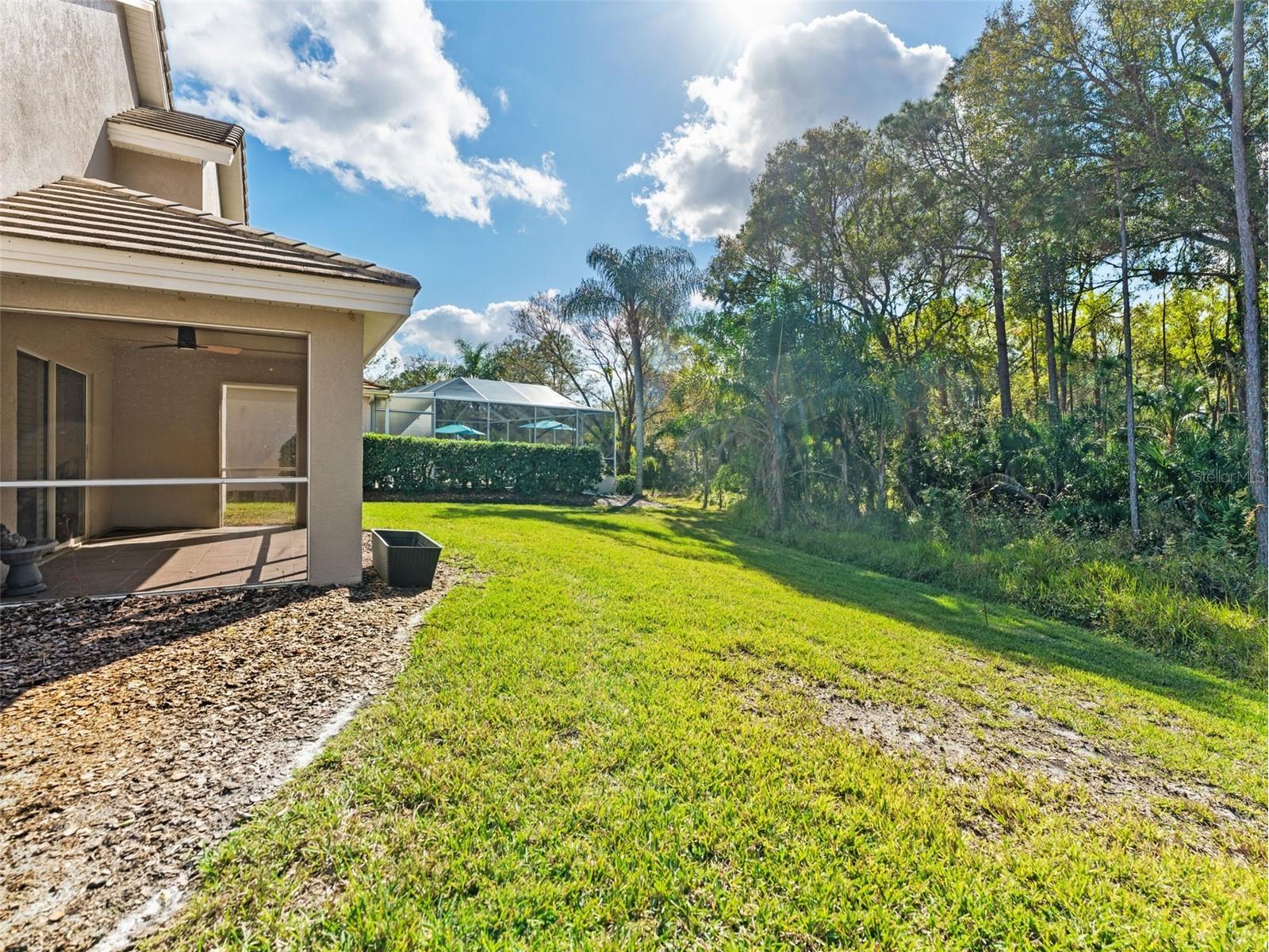17704 Nathans Drive Tampa FL 33647 TB8460446 image29