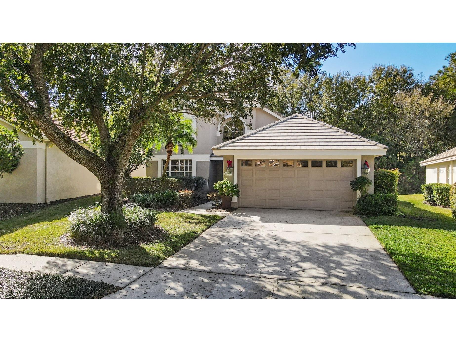 17704 Nathans Drive Tampa FL 33647 TB8460446 image32