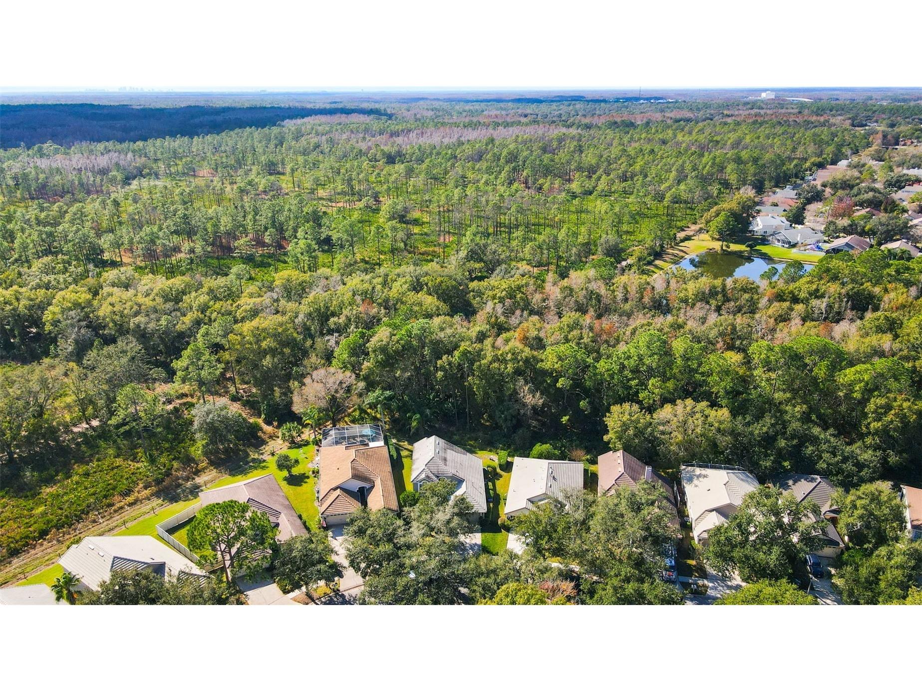 17704 Nathans Drive Tampa FL 33647 TB8460446 image33