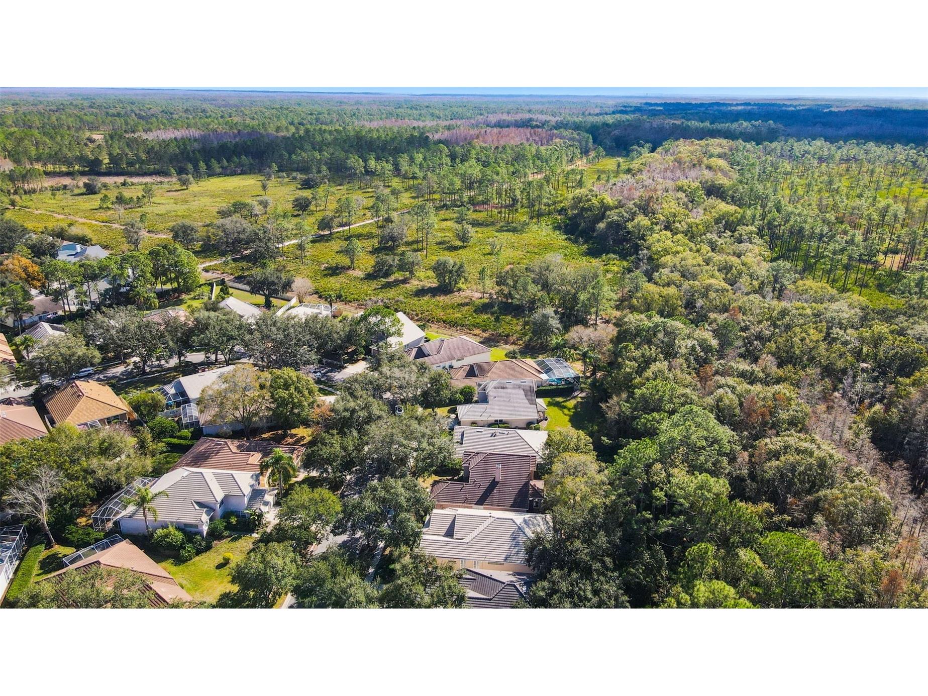 17704 Nathans Drive Tampa FL 33647 TB8460446 image34