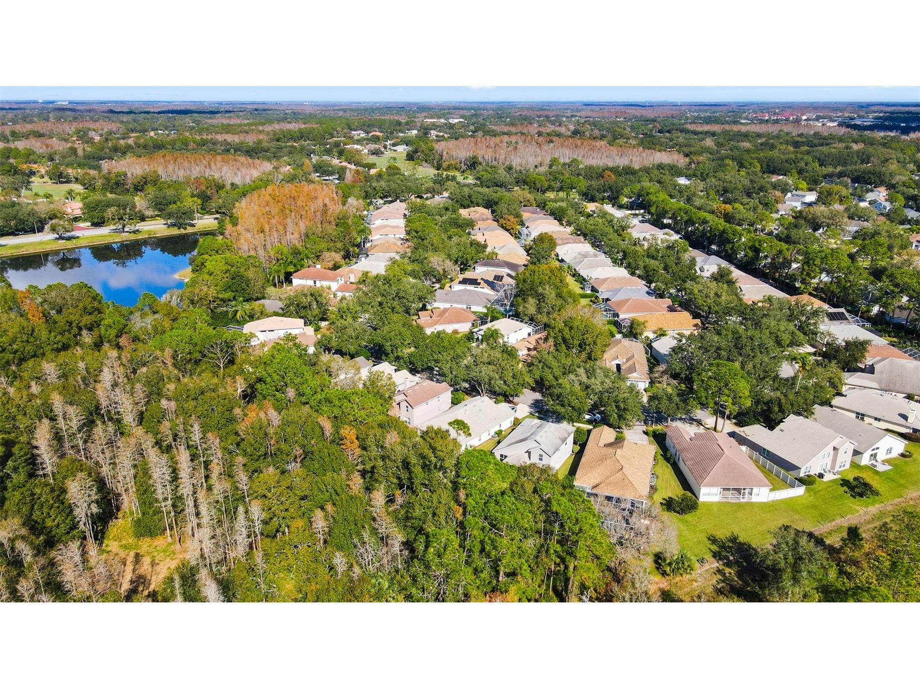 17704 Nathans Drive Tampa FL 33647 TB8460446 image35