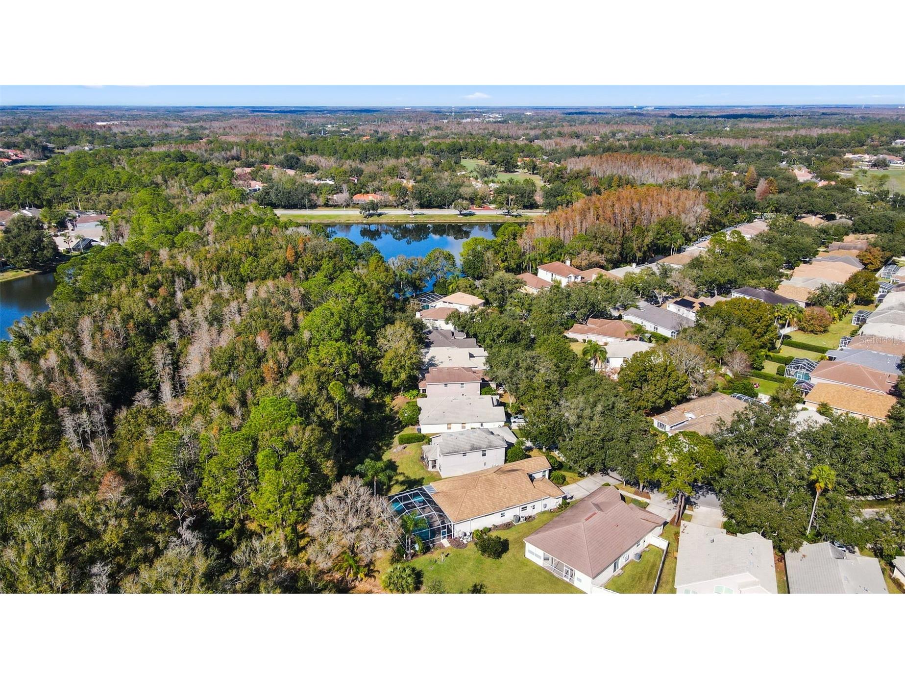 17704 Nathans Drive Tampa FL 33647 TB8460446 image36