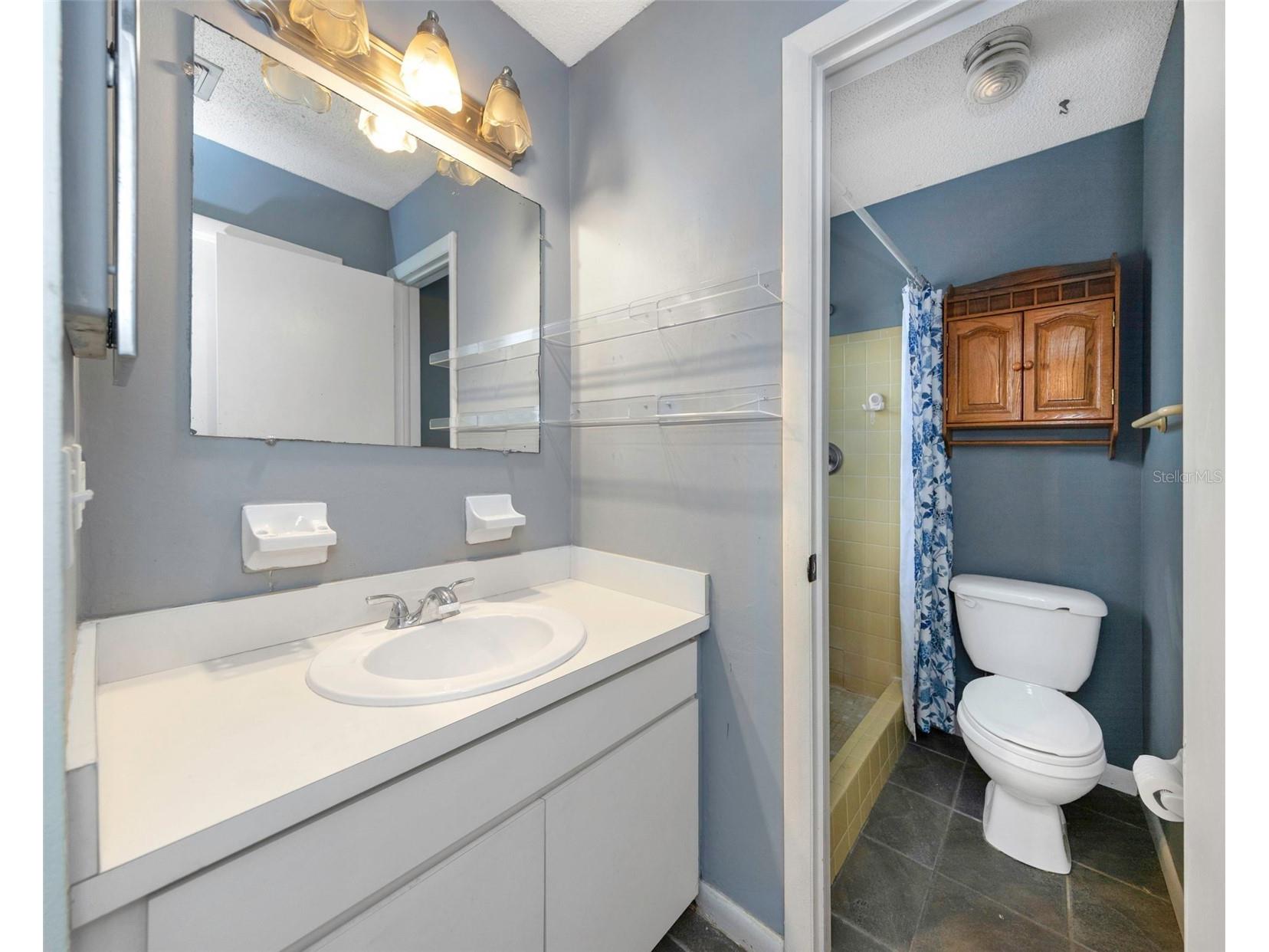 17704 Rivendel Road Lutz FL 33549 TB8508739 image17